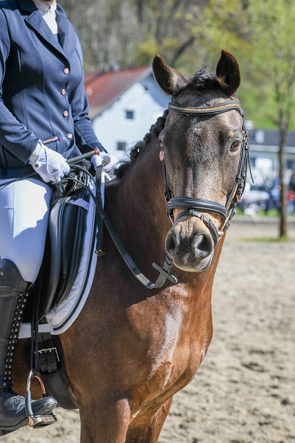 伤愈归来！阿方索·戴维斯时隔262天后重回拜仁大名单